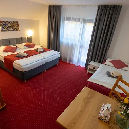 ホテル Wellness & Restaurant U Fandy 3*