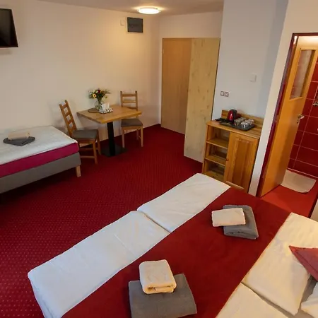 Hotel Wellness & Restaurant U Fandy 3*